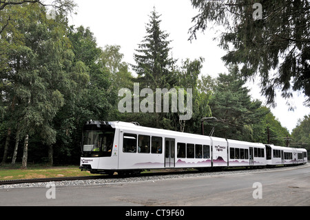 Panoramique des Domes, treno turistico, Puy de Dome, Auvergne, Francia Foto Stock