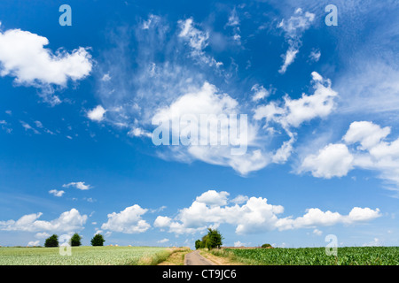 Paese paesaggio sotto alto cielo blu al giorno di estate Foto Stock