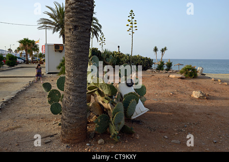 Spiaggia di Mojacar Andalusia Spagna Foto Stock