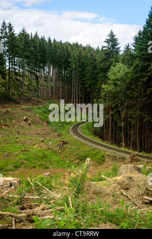 Valle in Montagne Harz con tracce, Germania Foto Stock