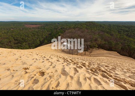 Vista dalla duna del Pyla, in Europa la duna più alta Foto Stock