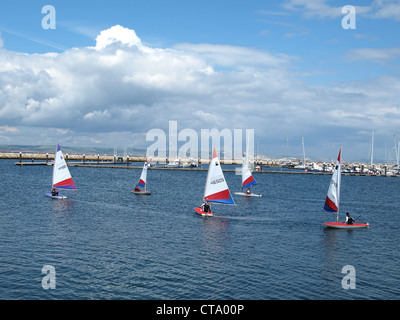 Scuole nazionali Associazione Vela regata di Weymouth e Portland National Sailing Academy, Luglio 2012 Foto Stock