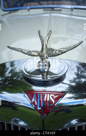 Swallow mascotte insegne sul Alvis auto d'Epoca Foto Stock