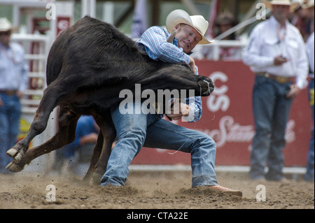 Sterzare il lottatore a Calgary Stampede Rodeo Foto Stock