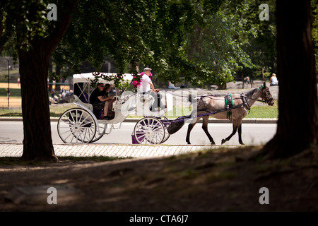 Un cavallo e il carrello porta turisti attraverso il Central Park di New York City . Foto Stock