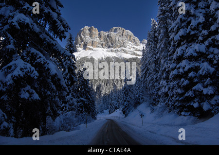 Passo di Costalunga, Rosengarten, gruppo del Catinaccio, UNESCO sito Natura, Dolomiti, Alto Adige, Trentino Alto Adige, Italia Foto Stock