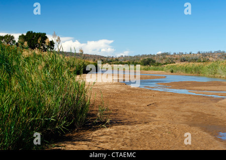 La Umfolozi nero fiume che scorre attraverso il Hluhluwe-Umfolozi Game Reserve in Kwazulu Natal, Sud Africa Foto Stock