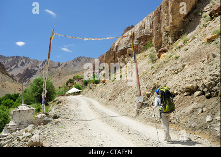 Donna venuta vicino Honupatta, Zanskar gamma traversa, Zanskar Range, Zanskar, Ladakh, Jammu e Kashmir India Foto Stock