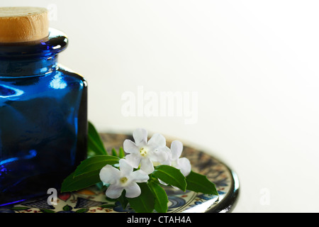 Blu di una bottiglia di vetro su una piastra di ceramica con fiori di colore bianco e lo sfondo bianco Foto Stock