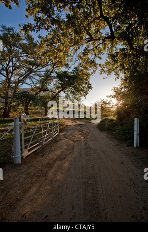 Ingresso di Bellingham cantina con Mountain Simonsberg, Franschoek e, Cape Town, Western Cape, Sud Africa, RSA, Africa Foto Stock