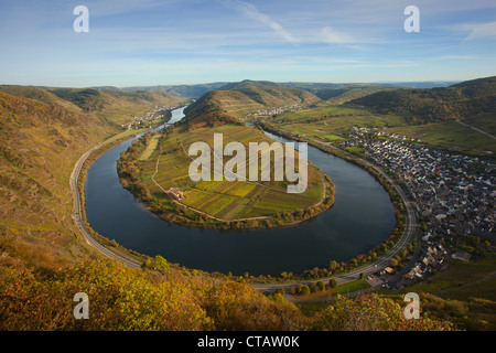 Vista da Bremmer Calmont vigna sulla Mosella sinuosità a Bremm, Mosella, Renania-Palatinato, Germania, Europa Foto Stock