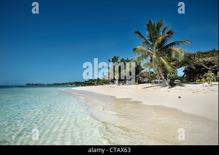 Spiaggia di sabbia bianca con acqua chiara, incredibili southern Pacific Beach, Savaii, Samoa Foto Stock