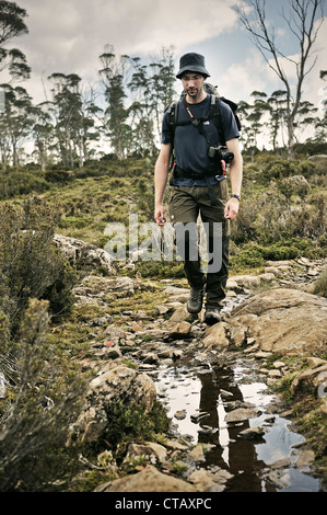 Escursionismo attraverso Tasmanias deserto, mura di Gerusalemme National Park, la Tasmania, Australia Foto Stock