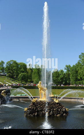 Centrotavola Sansone lo strappo le ganasce del leone e 20m alto getto. Peterhof (Petrodvotets). Foto Stock