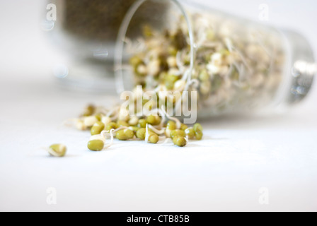 Mung fresco di germogli di soia la fuoriuscita di vetro su uno sfondo bianco a toni di grigio e la sottile bokeh di fondo. Foto Stock