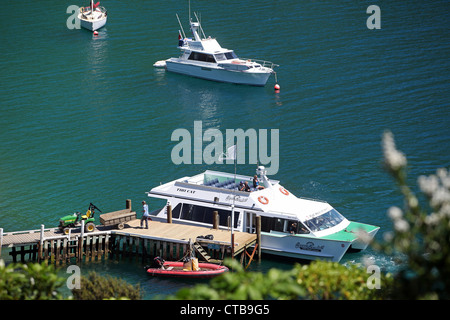 Nave passeggeri arriva a Punga Cove Resort in Marlborough Sounds Nuova Zelanda Foto Stock