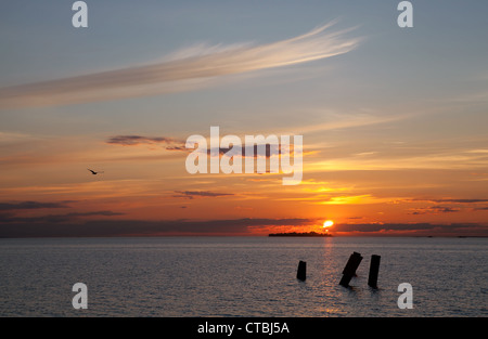 Parti della rottura di un molo sul mare al tramonto. Foto Stock