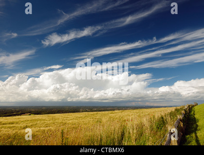 Vista Nord verso Crawley dal South Downs a Clayton. Foto Stock