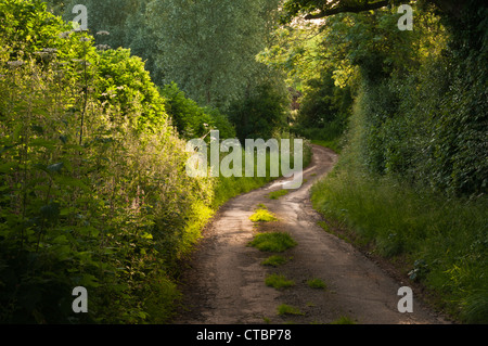 Una stretta e poco utilizzati, avvolgimento viottolo di campagna circondata da alte siepi, scende una ripida collina vicino Coton, Northamptonshire, Inghilterra Foto Stock