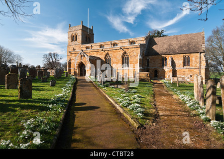 Snowdrops la linea i percorsi entro il sagrato della chiesa di Sant'Andrea chiesa nel villaggio di Harlestone, Northamptonshire, Inghilterra Foto Stock