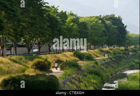 Il tranquillo sentiero lungo la riva del fiume Kamo a Kyoto, in Giappone, è un luogo popolare e tranquillo dove passeggiare, andare in bicicletta o fare un picnic Foto Stock