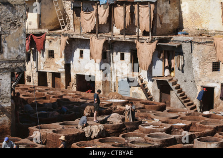 La millenaria del cuoio concerie nell'antica medina di Fes, Marocco Foto Stock