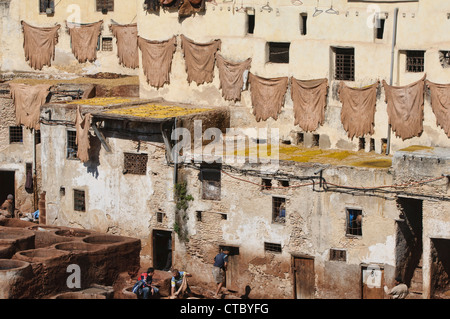 La millenaria del cuoio concerie nell'antica medina di Fes, Marocco Foto Stock