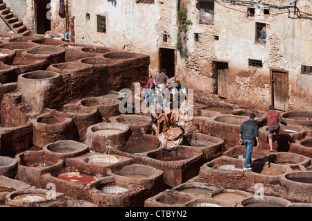 La millenaria del cuoio concerie nell'antica medina di Fes, Marocco Foto Stock