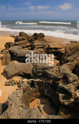 COQUINA rocce, WASHINGTON OAKS GARDENS State Park, Palm Coast, FLORIDA, Stati Uniti d'America Foto Stock