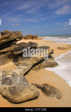 COQUINA rocce, WASHINGTON OAKS GARDENS State Park, Palm Coast, FLORIDA, Stati Uniti d'America Foto Stock