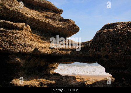 COQUINA rocce, WASHINGTON OAKS GARDENS State Park, Palm Coast, FLORIDA, Stati Uniti d'America Foto Stock