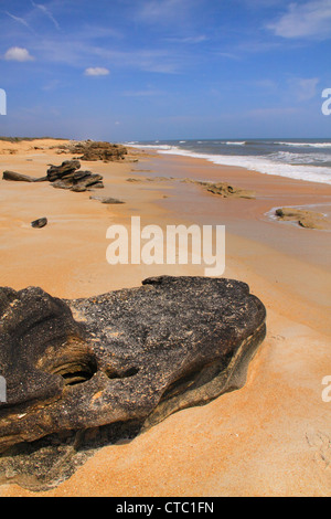 COQUINA rocce, WASHINGTON OAKS GARDENS State Park, Palm Coast, FLORIDA, Stati Uniti d'America Foto Stock