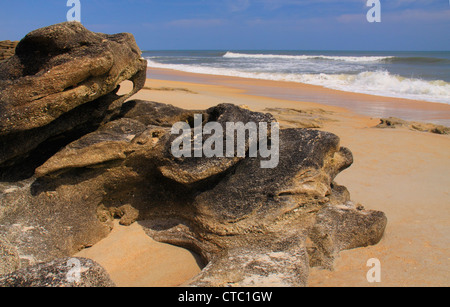 COQUINA rocce, WASHINGTON OAKS GARDENS State Park, Palm Coast, FLORIDA, Stati Uniti d'America Foto Stock