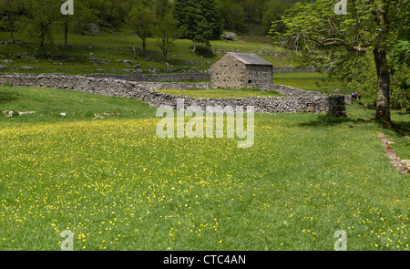 Escursionisti persone che passano un fieno di pietra vicino a Cray in Estate Upper Wharfedale Yorkshire Dales National Park North Yorkshire Inghilterra Regno Unito Foto Stock