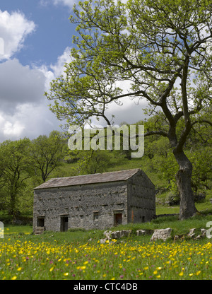 Fienile di pietra vicino a Cray in estate Upper Wharfedale Yorkshire Dales National Park North Yorkshire Inghilterra Regno Unito GB Gran Bretagna Foto Stock