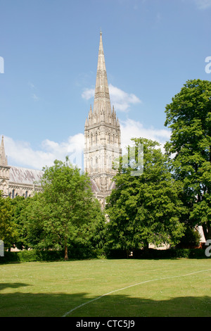 Guglia della cattedrale dal sud ovest di Salisbury Wiltshire, Inghilterra REGNO UNITO Foto Stock