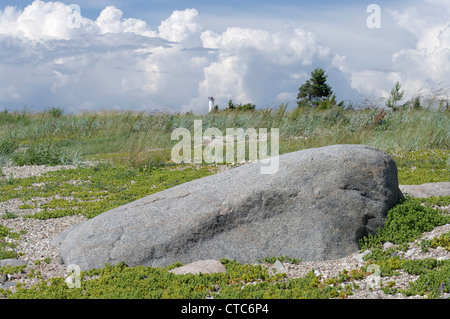 Matsi Beach. Paesaggio in Parnu County, Estonia Paesi Baltici UE Foto Stock