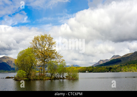 Loch Lomond e dalla sponda orientale che si affaccia a nord verso le Highlands, come parte del West Highland Way Stirlingshire, Scozia, Regno Unito, Gran Bretagna Foto Stock