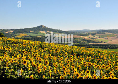 Campagna Puy de Dome Auvergne Francia Foto Stock