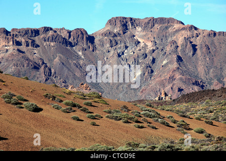 Spagna Isole Canarie, Tenerife, Parque Nacional del Teide, paesaggio, Foto Stock