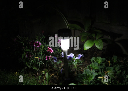 Il giardino di notte. Foto Stock