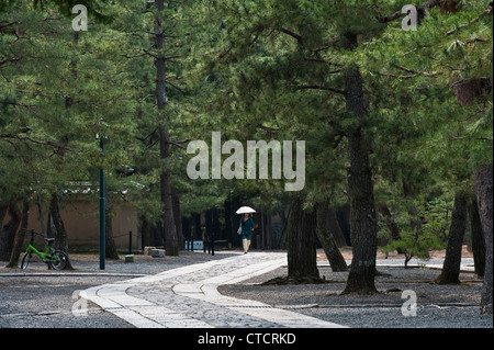 Una donna con un ombrello che cammina attraverso i tranquilli terreni del tempio buddista Daitoku-ji, Kyoto, Giappone, tra i pini neri giapponesi (pinus thunbergii) Foto Stock