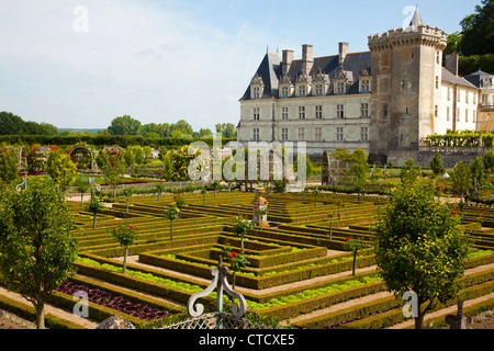 I giardini ornamentali di Chateau Villandry nella Valle della Loira in Francia. Foto Stock