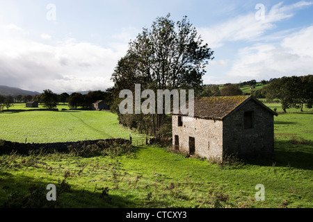 Campo fienile vicino al West Burton, Yorkshire Dales National Park Foto Stock