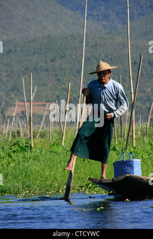 Uomo birmano le barche a remi con una gamba, Lago Inle, stato Shan, Myanmar, sud-est asiatico Foto Stock