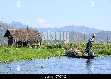 Uomo birmano le barche a remi con una gamba, Lago Inle, stato Shan, Myanmar, sud-est asiatico Foto Stock