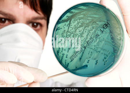 Ricerca di microbiologia Foto Stock