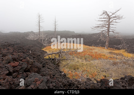 Il flusso di lava Etna, Sicilia Foto Stock