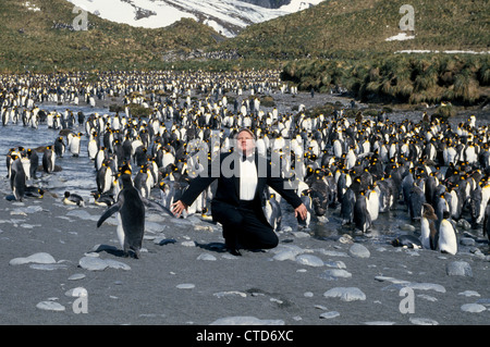 Un visitatore in Antartide vestiti in modo appropriato in uno smoking per imitare il re pinguini a Porto Oro sull Isola Georgia del Sud nel So. Oceano Atlantico. Foto Stock