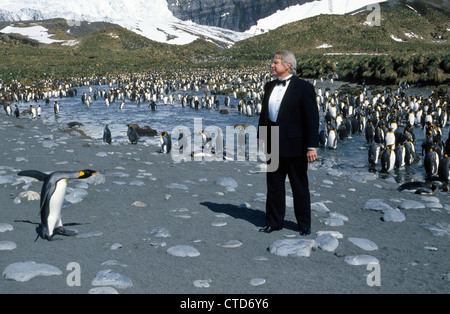 Un visitatore in Antartide vestiti in modo appropriato in uno smoking per imitare il re pinguini a Porto Oro sull Isola Georgia del Sud nel So. Oceano Atlantico. Foto Stock